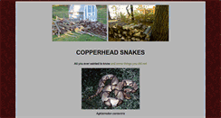 Desktop Screenshot of copperhead-snake.com