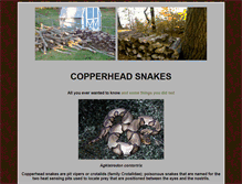 Tablet Screenshot of copperhead-snake.com